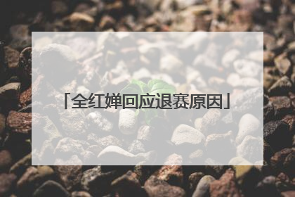 全红婵回应退赛原因