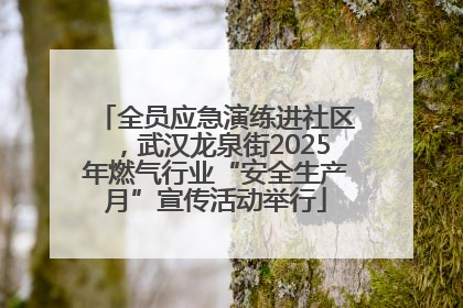 全员应急演练进社区，武汉龙泉街2025年燃气行业“安全生产月”宣传活动举行