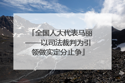 全国人大代表马丽——以司法裁判为引领做实定分止争