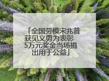 全国劳模宋兆普获见义勇为表彰 5万元奖金当场捐出用于公益