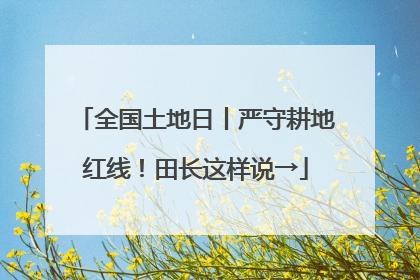 全国土地日丨严守耕地红线！田长这样说→
