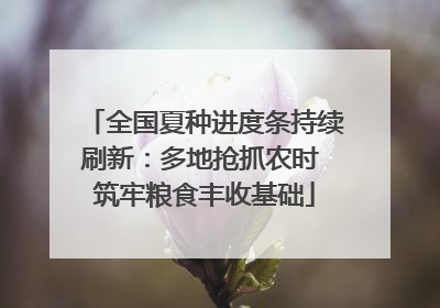 全国夏种进度条持续刷新：多地抢抓农时 筑牢粮食丰收基础