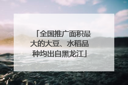 全国推广面积最大的大豆、水稻品种均出自黑龙江