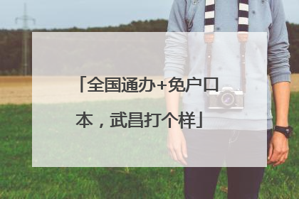 全国通办+免户口本，武昌打个样