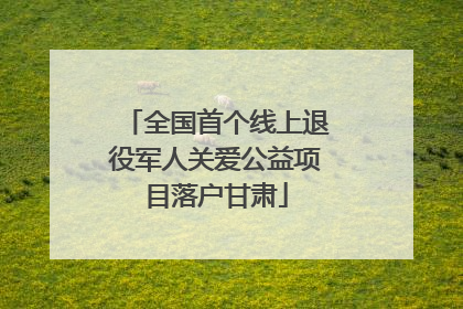 全国首个线上退役军人关爱公益项目落户甘肃