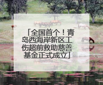 全国首个！青岛西海岸新区工伤超前救助慈善基金正式成立