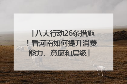 八大行动26条措施！看河南如何提升消费能力、意愿和层级