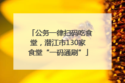 公务一律扫码吃食堂，潜江市130家食堂“一码通刷”