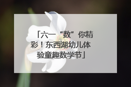六一“数”你精彩！东西湖幼儿体验童趣数学节