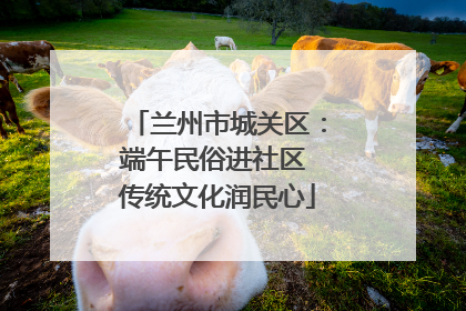 兰州市城关区：端午民俗进社区 传统文化润民心