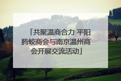 共聚温商合力 平阳腾蛟商会与南京温州商会开展交流活动