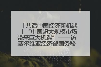 共话中国经济新机遇丨“中国超大规模市场带来巨大机遇”——访塞尔维亚经济部国务秘书尼科利奇