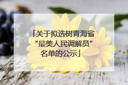 关于拟选树青海省“最美人民调解员” 名单的公示