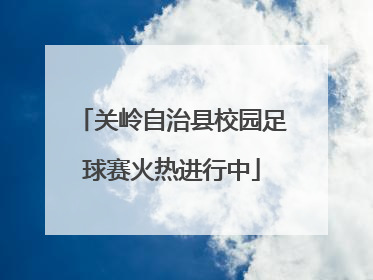 关岭自治县校园足球赛火热进行中