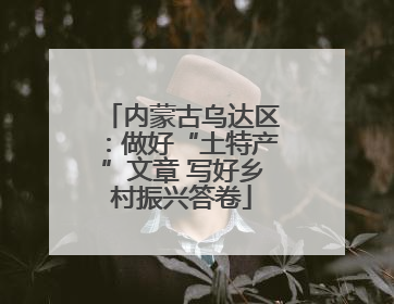 内蒙古乌达区：做好“土特产”文章 写好乡村振兴答卷