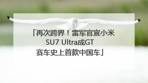 再次跨界！雷军官宣小米SU7 Ultra成GT赛车史上首款中国车