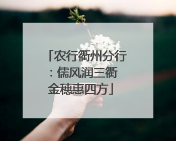 农行衢州分行：儒风润三衢 金穗惠四方