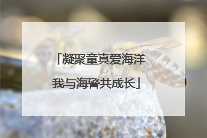 凝聚童真爱海洋 我与海警共成长