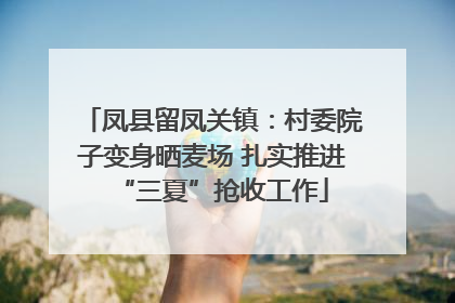 凤县留凤关镇：村委院子变身晒麦场 扎实推进“三夏”抢收工作