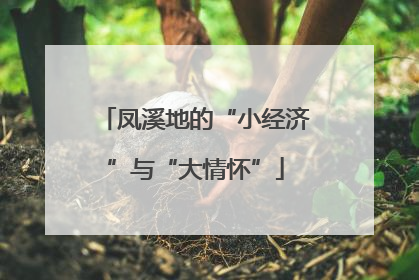 凤溪地的“小经济”与“大情怀”