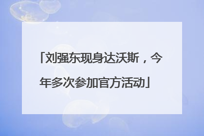刘强东现身达沃斯，今年多次参加官方活动