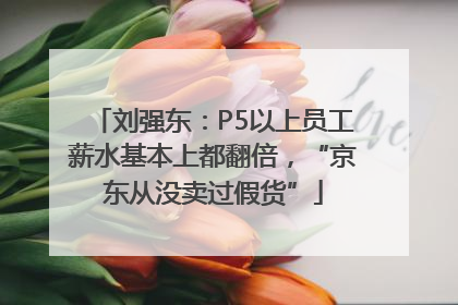 刘强东：P5以上员工薪水基本上都翻倍，“京东从没卖过假货”