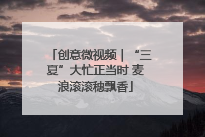 创意微视频｜“三夏”大忙正当时 麦浪滚滚穗飘香
