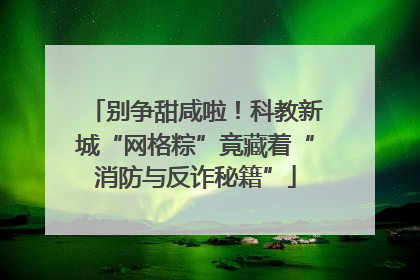 别争甜咸啦！科教新城“网格粽”竟藏着“消防与反诈秘籍”
