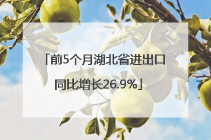 前5个月湖北省进出口同比增长26.9%