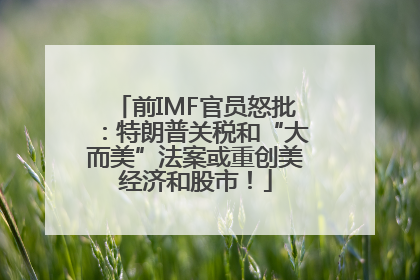前IMF官员怒批：特朗普关税和“大而美”法案或重创美经济和股市！