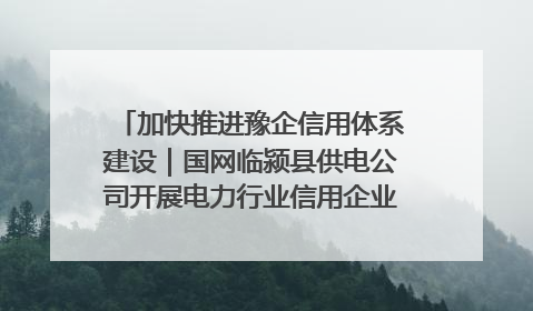 加快推进豫企信用体系建设｜国网临颍县供电公司开展电力行业信用企业现场咨询访谈工作