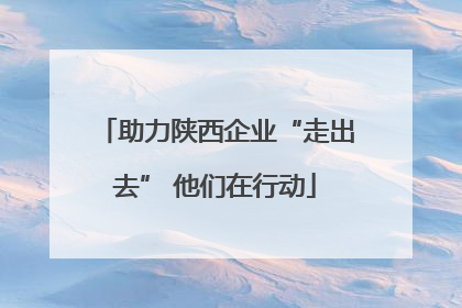 助力陕西企业“走出去” 他们在行动