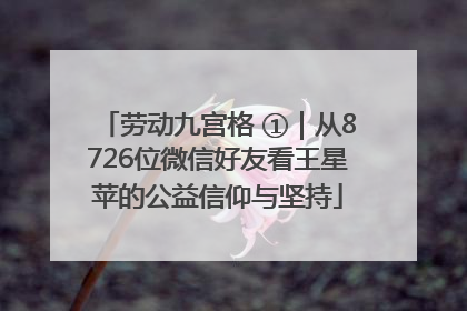 劳动九宫格 ①｜从8726位微信好友看王星苹的公益信仰与坚持