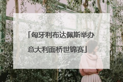匈牙利布达佩斯举办意大利面桥世锦赛