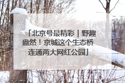 北京号最精彩｜野趣盎然！京城这个生态桥连通两大网红公园