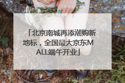北京南城再添潮购新地标，全国最大京东MALL端午开业