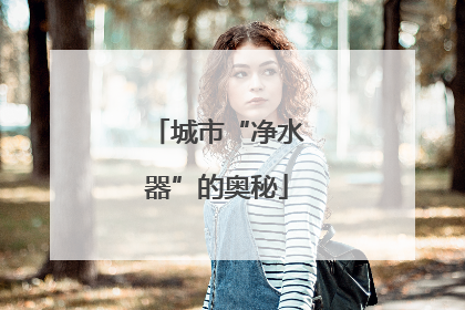 城市“净水器”的奥秘