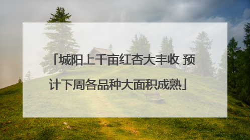 城阳上千亩红杏大丰收 预计下周各品种大面积成熟