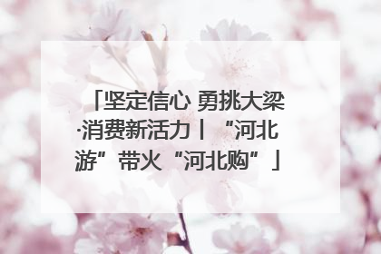 坚定信心 勇挑大梁·消费新活力丨“河北游”带火“河北购”