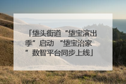 垡头街道“垡宝演出季”启动 “垡宝治家”数智平台同步上线