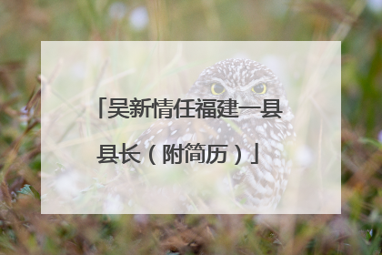 吴新情任福建一县县长（附简历）