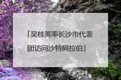 吴桂英率长沙市代表团访问沙特阿拉伯