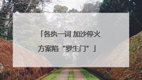 各执一词 加沙停火方案陷“罗生门”