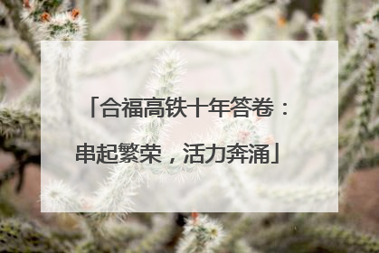 合福高铁十年答卷：串起繁荣，活力奔涌