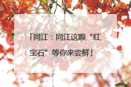 同江：同江这颗“红宝石”等你来尝鲜