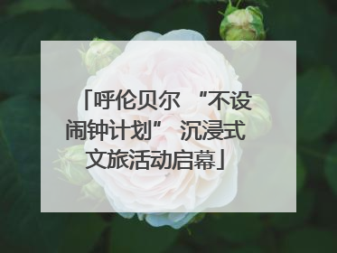 呼伦贝尔 “不设闹钟计划” 沉浸式文旅活动启幕