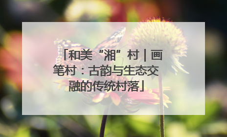 和美“湘”村｜画笔村：古韵与生态交融的传统村落