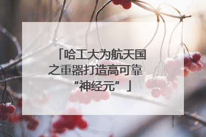 哈工大为航天国之重器打造高可靠“神经元”