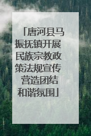 唐河县马振抚镇开展民族宗教政策法规宣传 营造团结和谐氛围