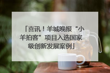 喜讯！羊城晚报“小羊拍客”项目入选国家级创新发展案例